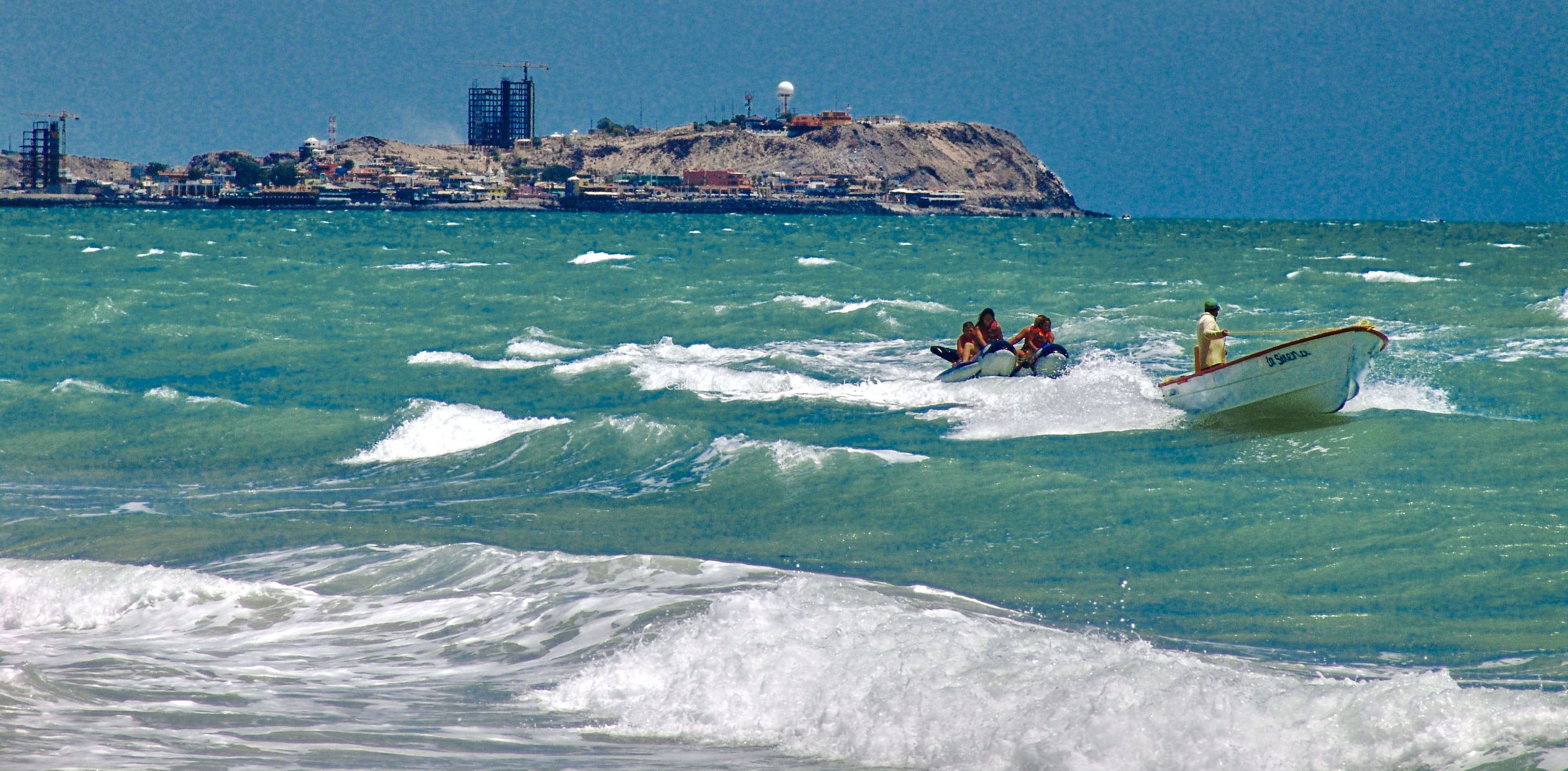 Arenosa_2008 (29).jpg